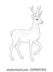 Young deer. Black and white vector illustration. Coloring book for adults and children.