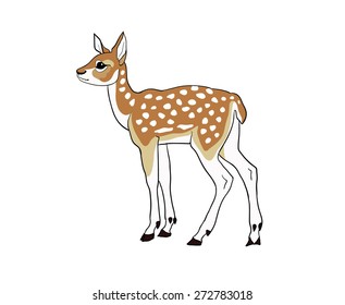 young Deer, fawn
