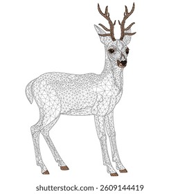 Young deer low-polygon  outline  background vector illustration editable hand draw