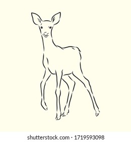 Young deer vector silhouette. fawn, vector sketch illustration