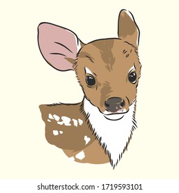 Young deer vector silhouette. fawn, vector sketch illustration