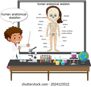 Young doctor explaining human anatomical skeleton illustration