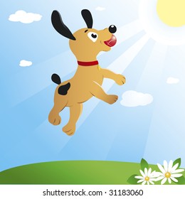 Young dog is jumping high to catch a ball. Bright yellow sun lights up an emerald green meadow and a brilliant blue sky