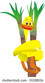 The young duckling