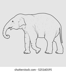 Young elephant black and white vector illustration