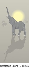 a young elephant in the morning in the savanna