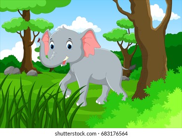 The young elephant walking in the lush forest