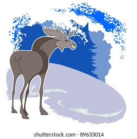 A young elk standing in a clearing in the winter forest