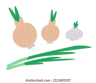 Young farm onion round, green onions and garlic. Isolated on white background. Vector illustration. Eps 10