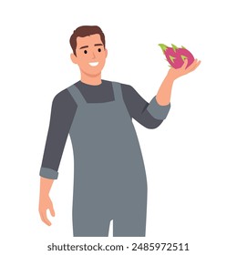 Young farmer harvesting pitaya fruits or dragon fruit. Flat vector illustration isolated on white background