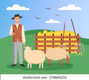 Young farmer in hat stands with shepherd's stick and sheep. Shepherd and sheep. Collected hay, pitchforks. Green landscape, clear blue sky with birds. Stock raising, farming, agriculture. Vector image