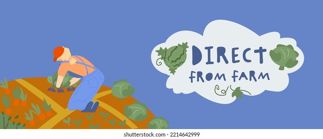 Young Farmer Working In Allotment Gardens. Taking Care Of Vegetables And Plants. Local Food Production In A Sustainable Way. Editable Illustration In Flat Style. Vector Landscape Background