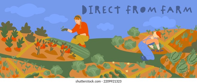 Young Farmers Working In Allotment Gardens. Taking Care Of Vegetables And Plants. Local Food Production In A Sustainable Way. Editable Illustration In Flat Style. Vector Background