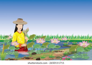 Jovem agricultora colhe flores de lótus em um campo de lótus.
