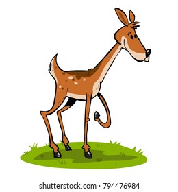 Young female deer