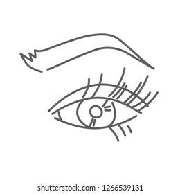 Young female eye with eyebrow vector doodle icon isolated on white, hand drawn sketchy style