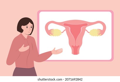 A Young Female Lecturer Gives A Lecture On Women's Reproductive Health. On The Interactive Whiteboard, A Drawing Of The Uterus And Ovaries. Sex Education