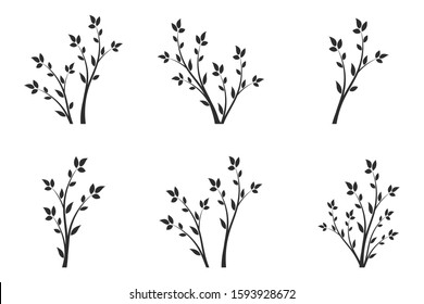 Young flowering tree. Sapling. Silhouette of a branch with leaves. 