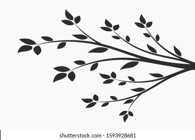 Young flowering tree. Sapling. Silhouette of a branch with leaves. 