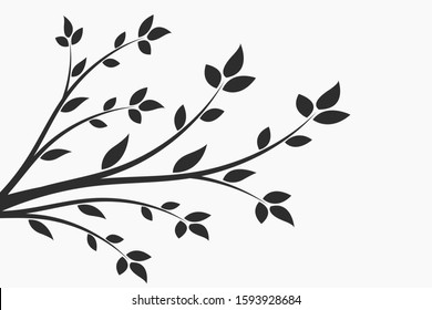 Young flowering tree. Sapling. Silhouette of a branch with leaves. 