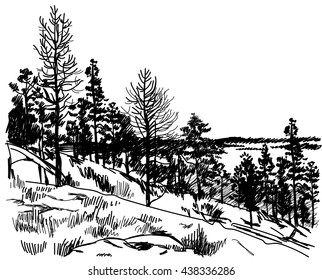
Young forest . Trees on the rock . Vector freehand drawing . Engraving.