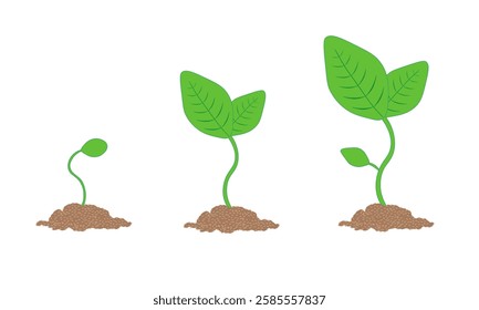 Young, fresh green plant, symbolizing  new beginning. Sprout makes its way out of ground and stretches towards the sky and the sun's rays. Three icons, isolated on white background.