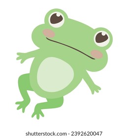 young frog isolated on white illustration