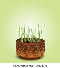 Young grass growing in crock pot