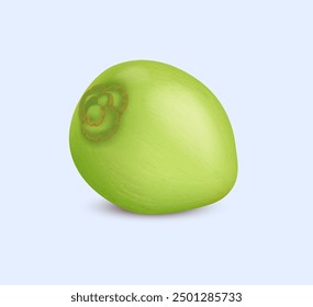 Young green coconut realistic vector illustration. Delicious tropical fruit. Summer vacation at exotic resort 3d object on light background