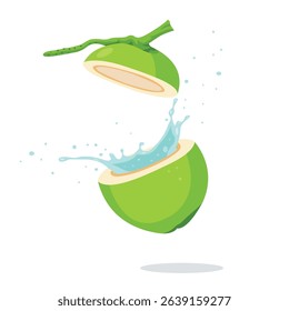Young green coconut split in half with refreshing water splashing out.