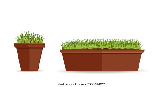 Young green in flower pots icons set. Indoor plant. Houseplant. Vector illustration