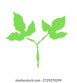 Young Green Maple Leaves Cluster Vector