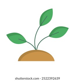 Young Green Plant Growing from Soil.