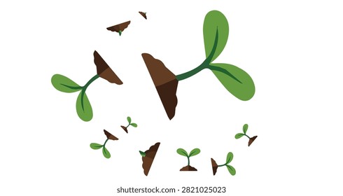 young green seedlings with cotyledons emerging from soil chunks isolated on white background symbolizing growth and nature