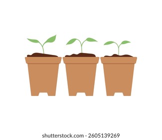 Young green seedlings in multiple pots. Vector illustration for gardening, farming, plant care, and eco friendly design projects