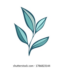 Young green shoot with leaves. Vector herb with leaves. Eco logo, environment, nature, medical and organic herb. Tender mint colors. fresh green twig for logo, greeting card, T-shirt, surface print.