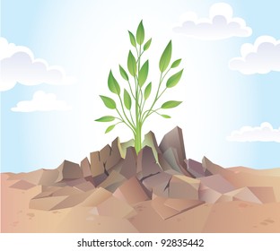 Young green sprout is breaking the dry hard soil.