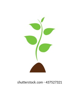 young green sprout flat icon