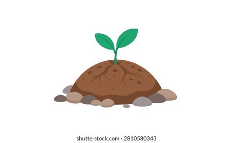 Young green sprout growing from a mound of rich brown soil surrounded by small pebbles representing new life and nature growth.