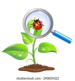 Young green sprout and ladybug under magnifying glass. Nature study. Illustration isolated on white background