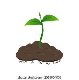 Young green sprout makes its way out of the ground. Small plant growing in the ground. Flat style. vector illustration isolated on a white background