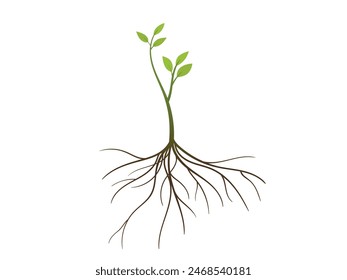 Young green Tree with Roots and leaves vector illustration