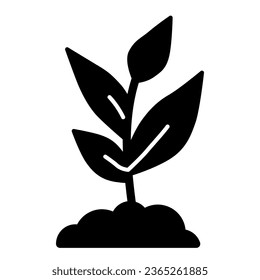 Icono sólido de crecimiento joven, concepto de agricultura, Sprout con muchas hojas signo sobre fondo blanco, icono de planta creciente en estilo glifo para concepto móvil y diseño web. Gráficos vectoriales