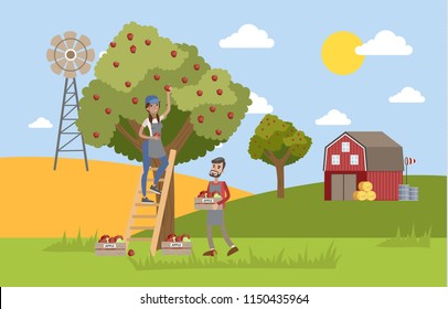 Young Happy Female Farmer Standing On The Ladder And Picking Red Apples From A Huge Apple Tree. Male Farmer Collecting Apples In A Box. Summer In The Countryside. Vector Flat Illustration