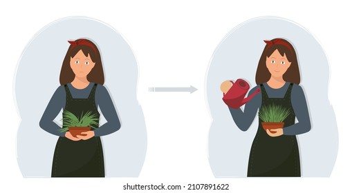 Young happy woman watering house plant, domestic life concept, gardening concept, flat vector illustration