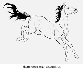 Young horse successfully negotiating an obstacle. Watchful and excited stallion raised his head and flared nostrils during the jump. Vector linear clip art for equestrian goods, show jumping clubs.