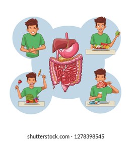young human anatomy