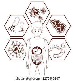 young human body anatomy