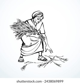 Young Jew east Israel Muslim Arab human old man arm hold up white rustic autumn land grow rye plant ear seed earn job. Hand drawn art sketch sad Asian Jewish maid slave reaper lady carry ripe meal eat