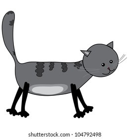  Young kitten in front of white background, vector image